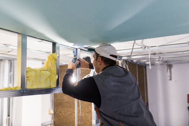 Best Residential Insulation in Winnsboro, LA
