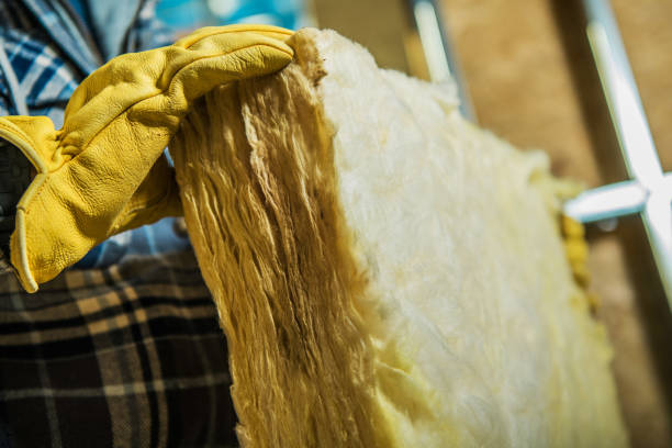 Best DIY Insulation Kits and Guidance in Winnsboro, LA