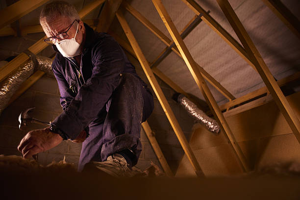Best Specialized Insulation Services in Winnsboro, LA